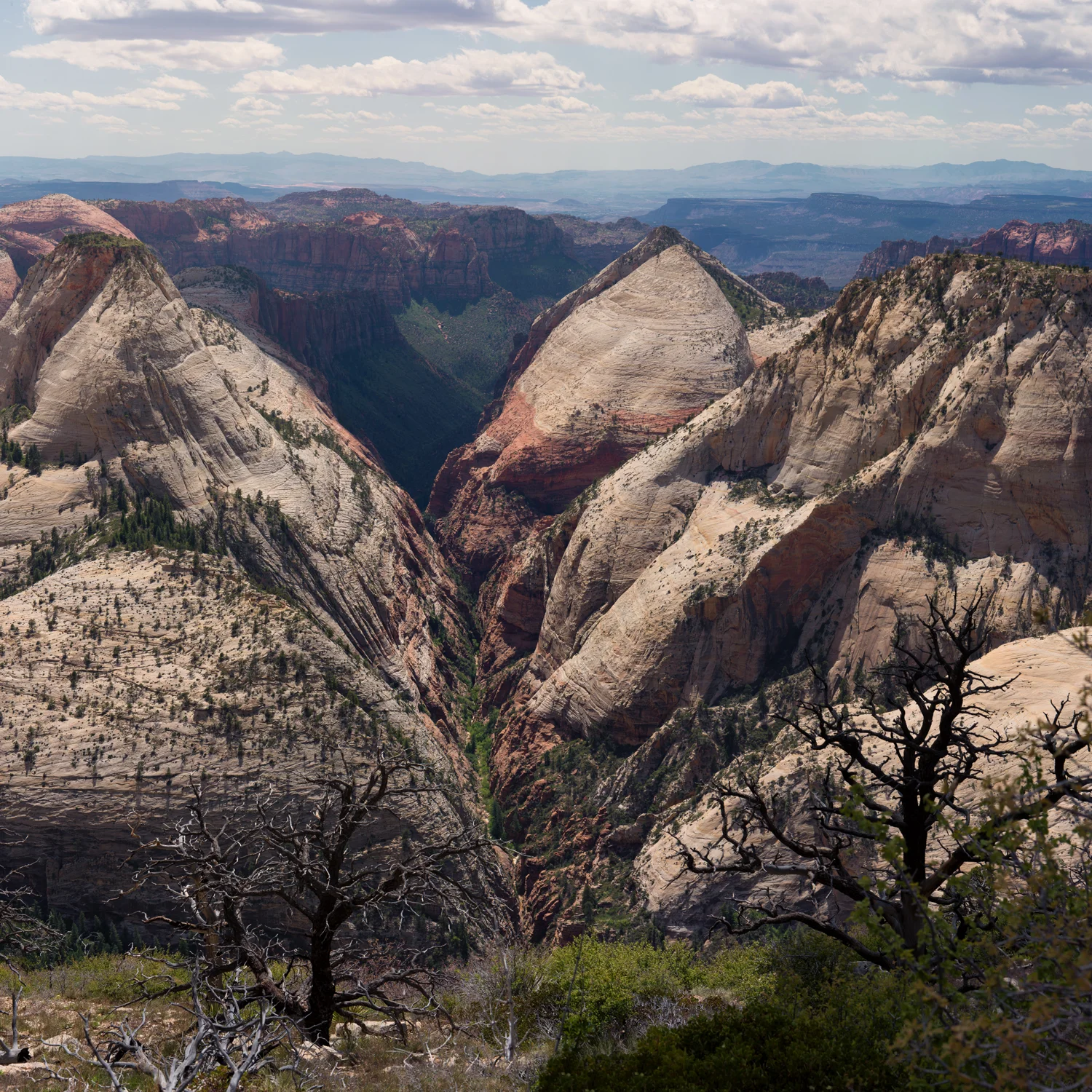 The-Valley.jpg