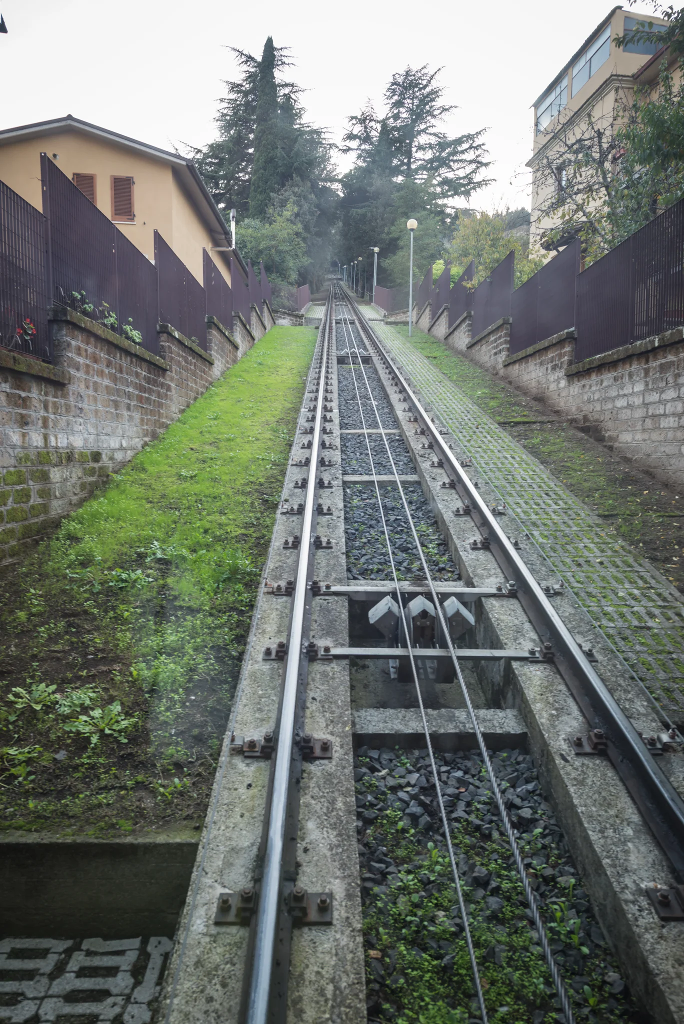 107.jpg