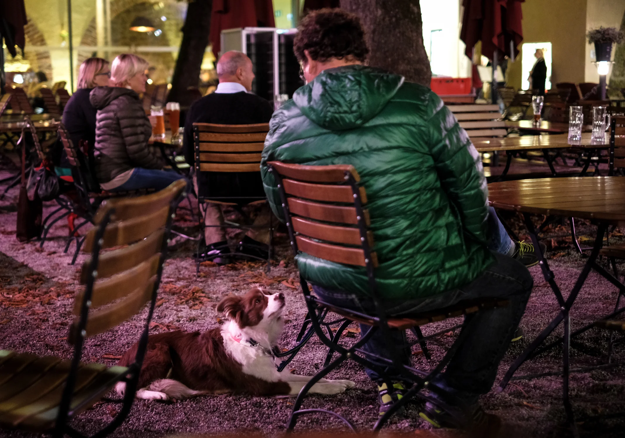 Salzburg Austria 2017-20.jpg