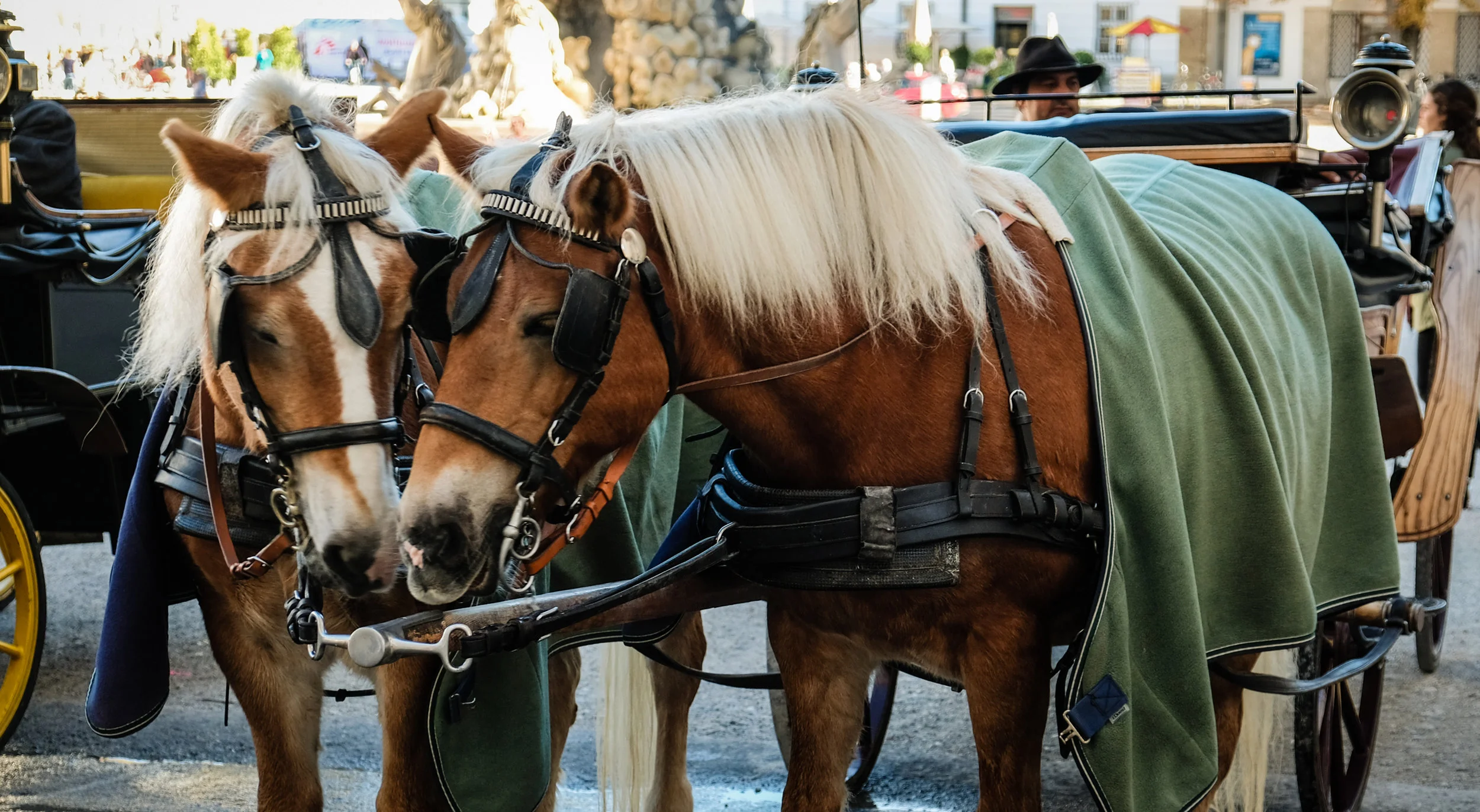 Salzburg Austria 2017-41.jpg