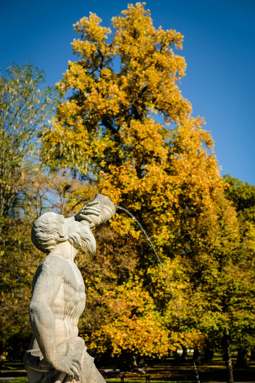 Salzburg Austria 2017-70.jpg