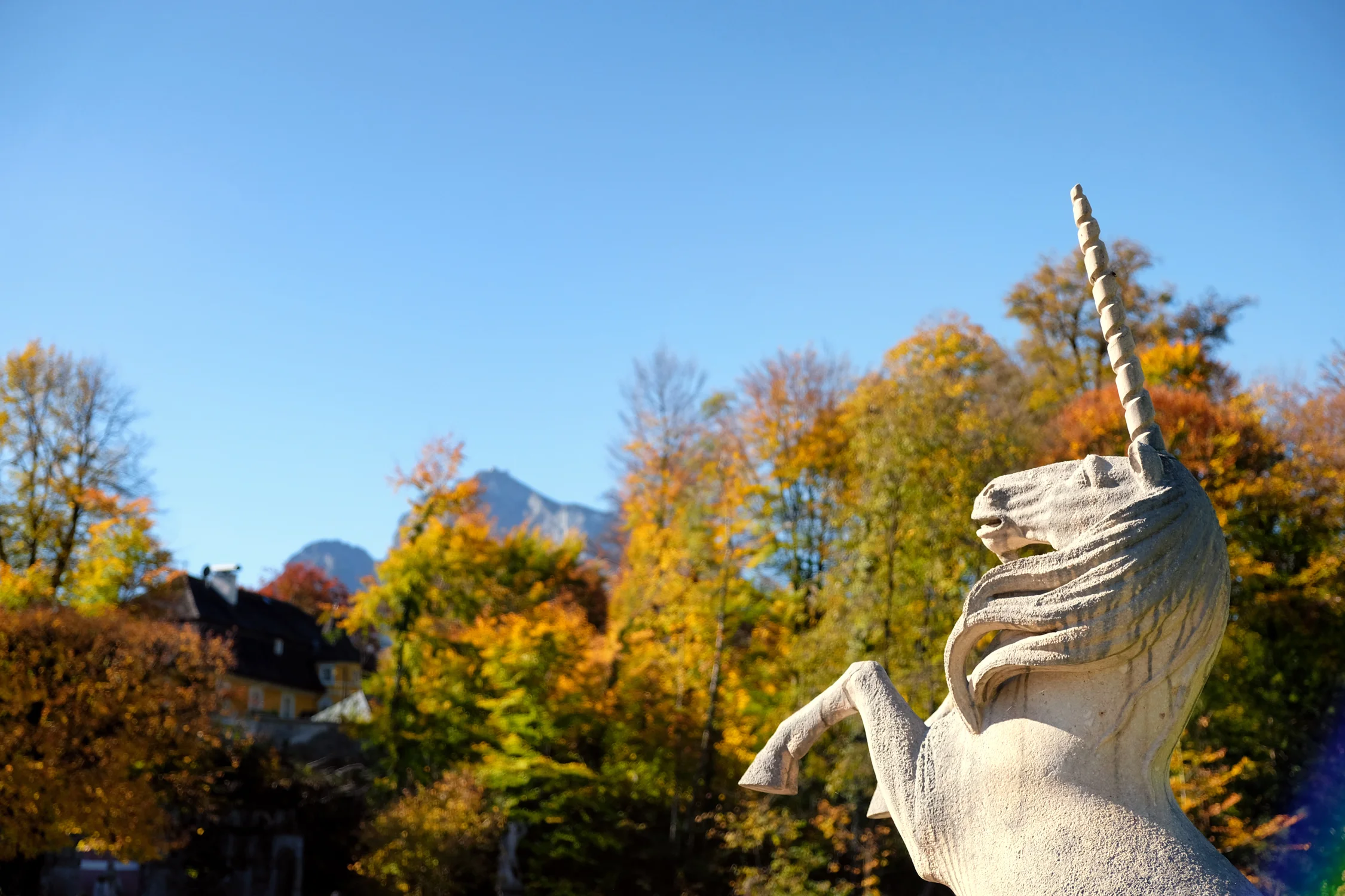 Salzburg Austria 2017-68.jpg