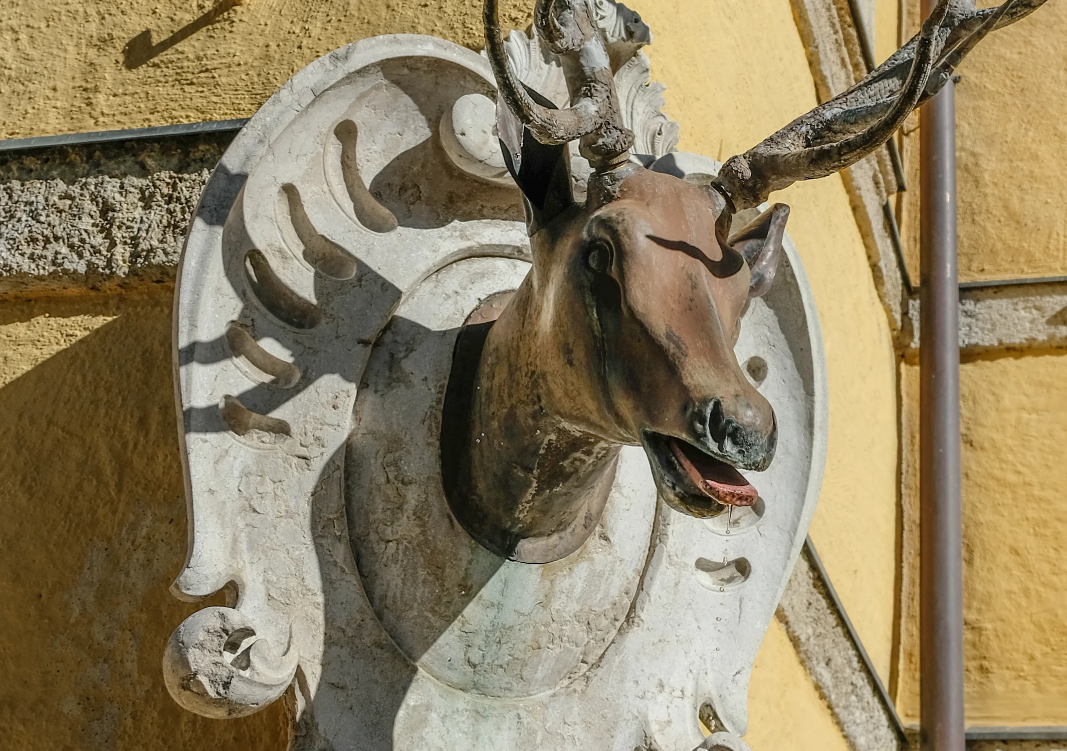 Salzburg Austria 2017-78.jpg