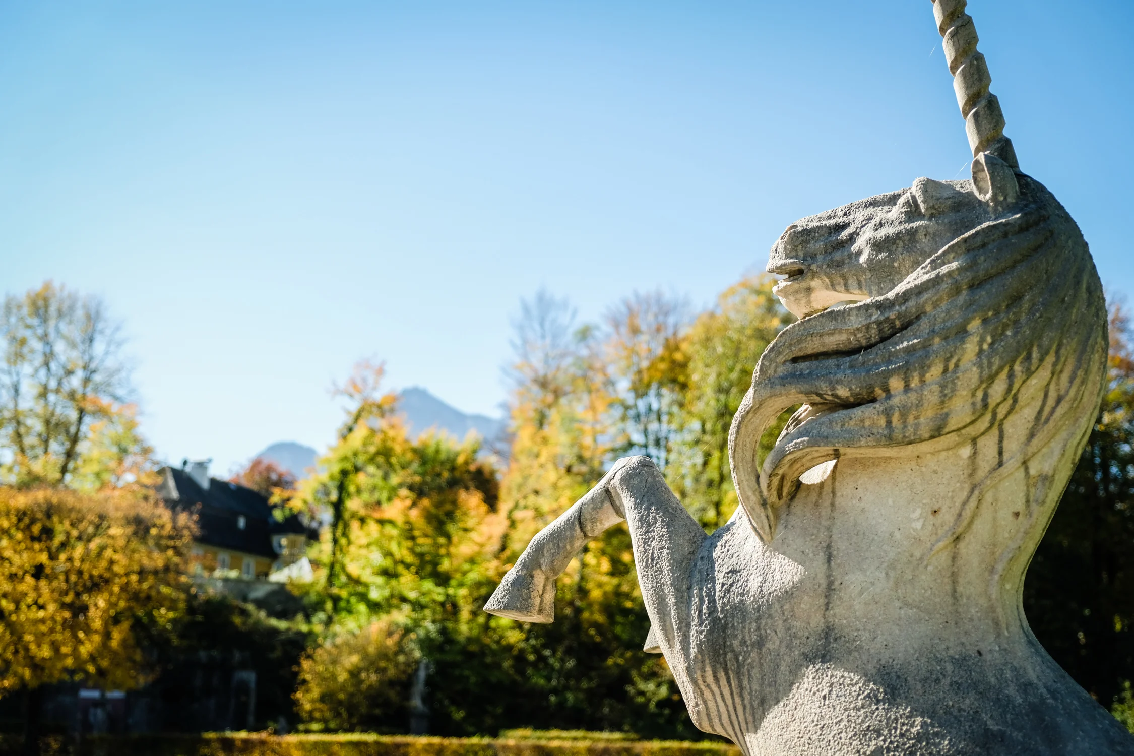 Salzburg Austria 2017-89.jpg