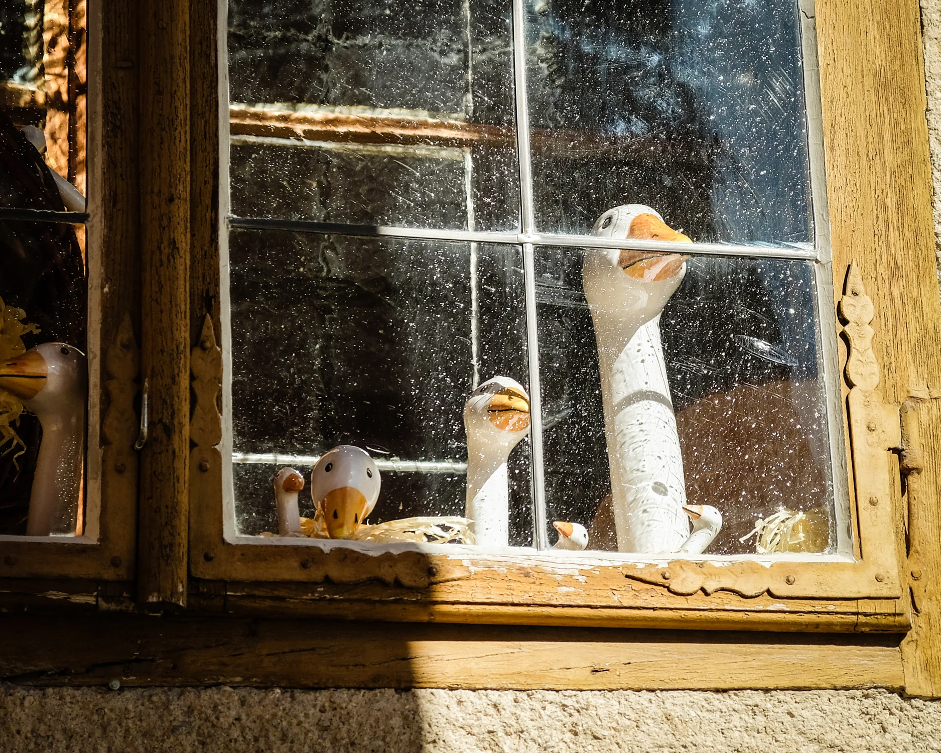 Salzburg Austria 2017-91.jpg