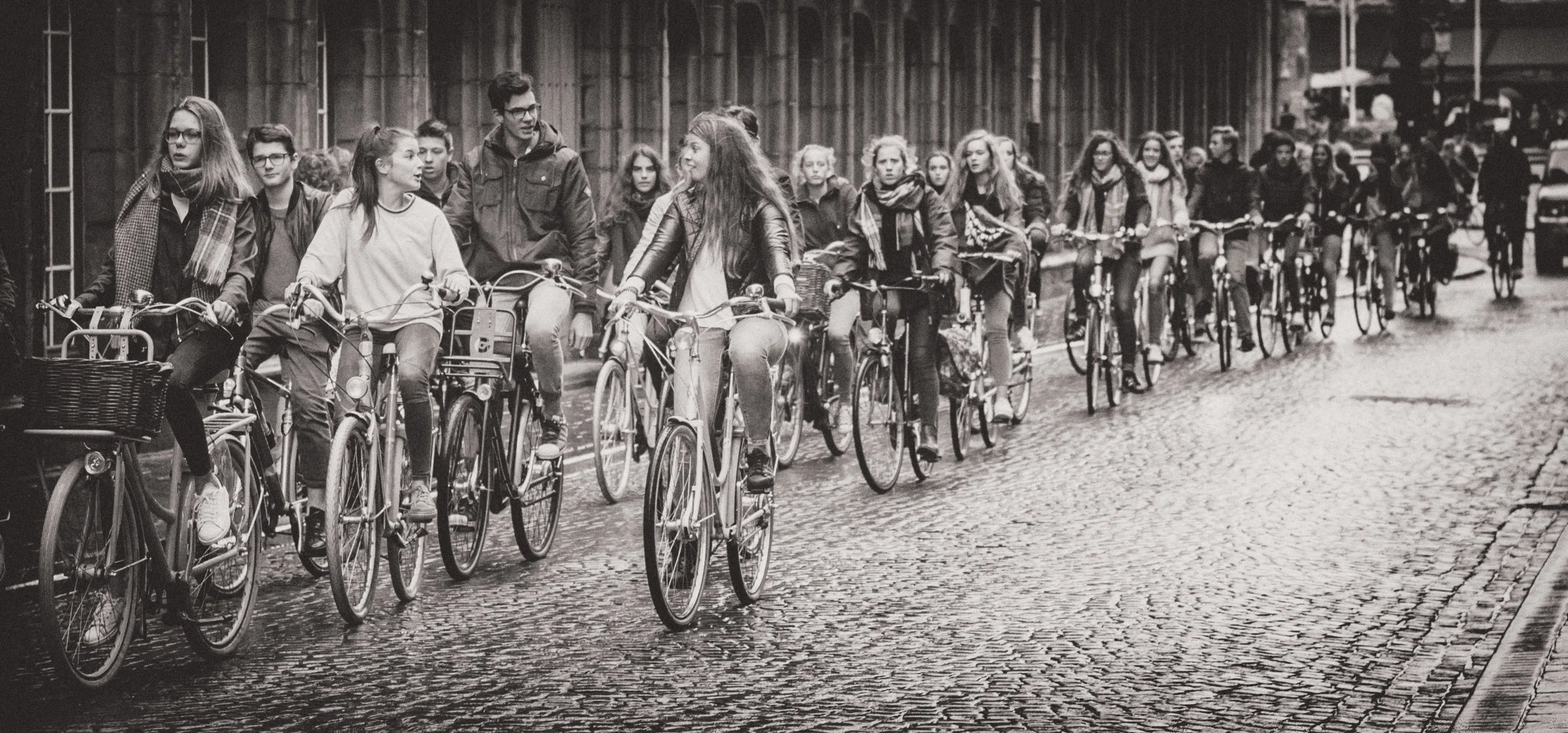 allthebikesBW.jpg