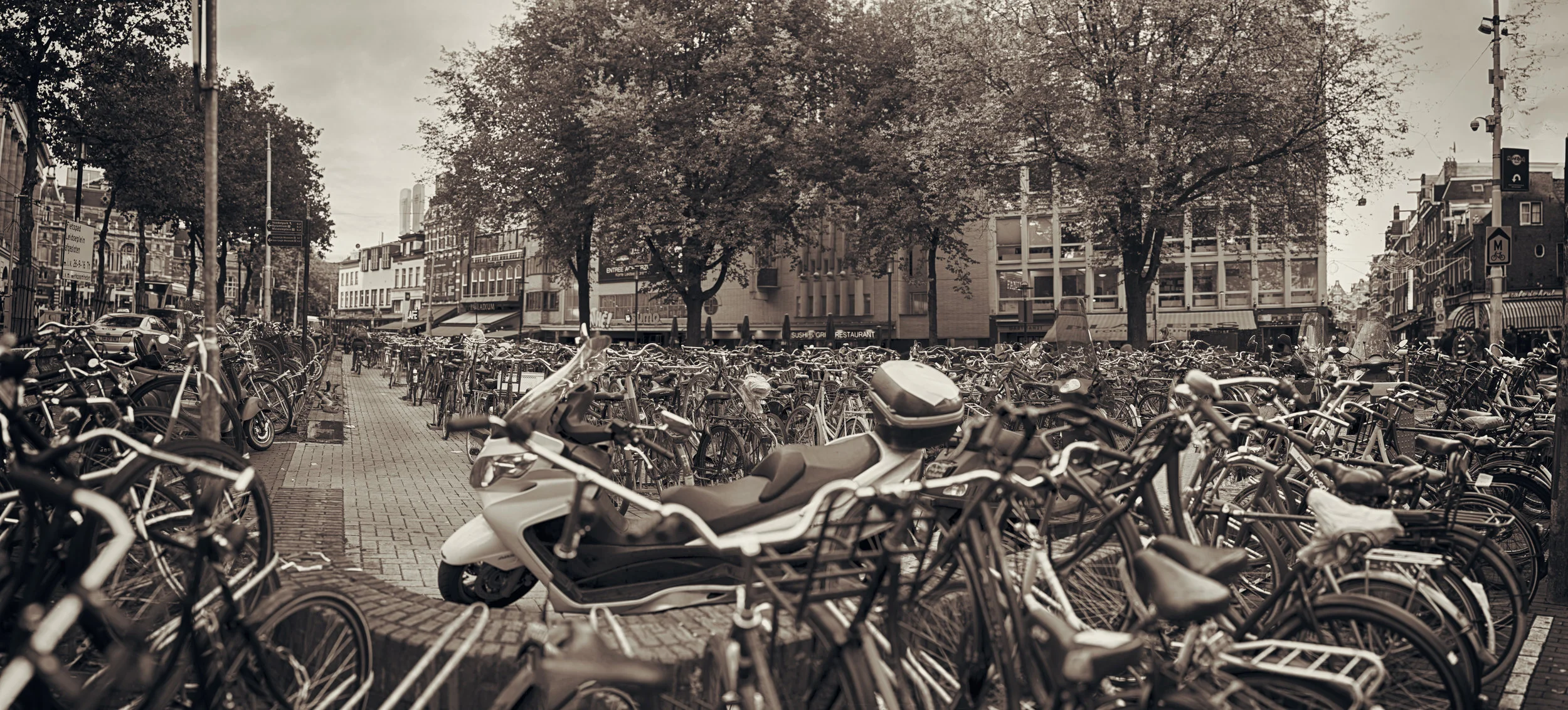 all the bikes.jpg