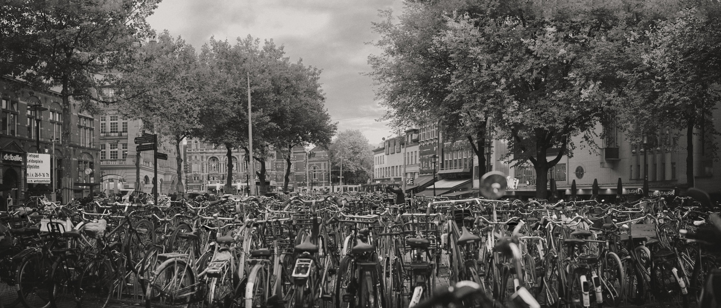 plethoraofbicycles.jpg
