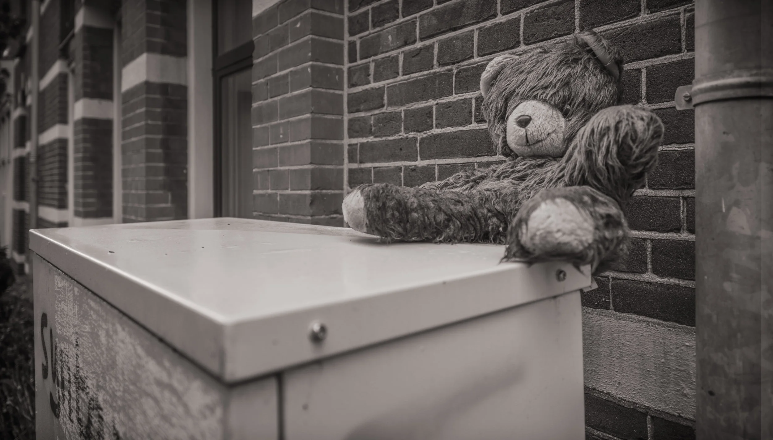 teddybear.jpg