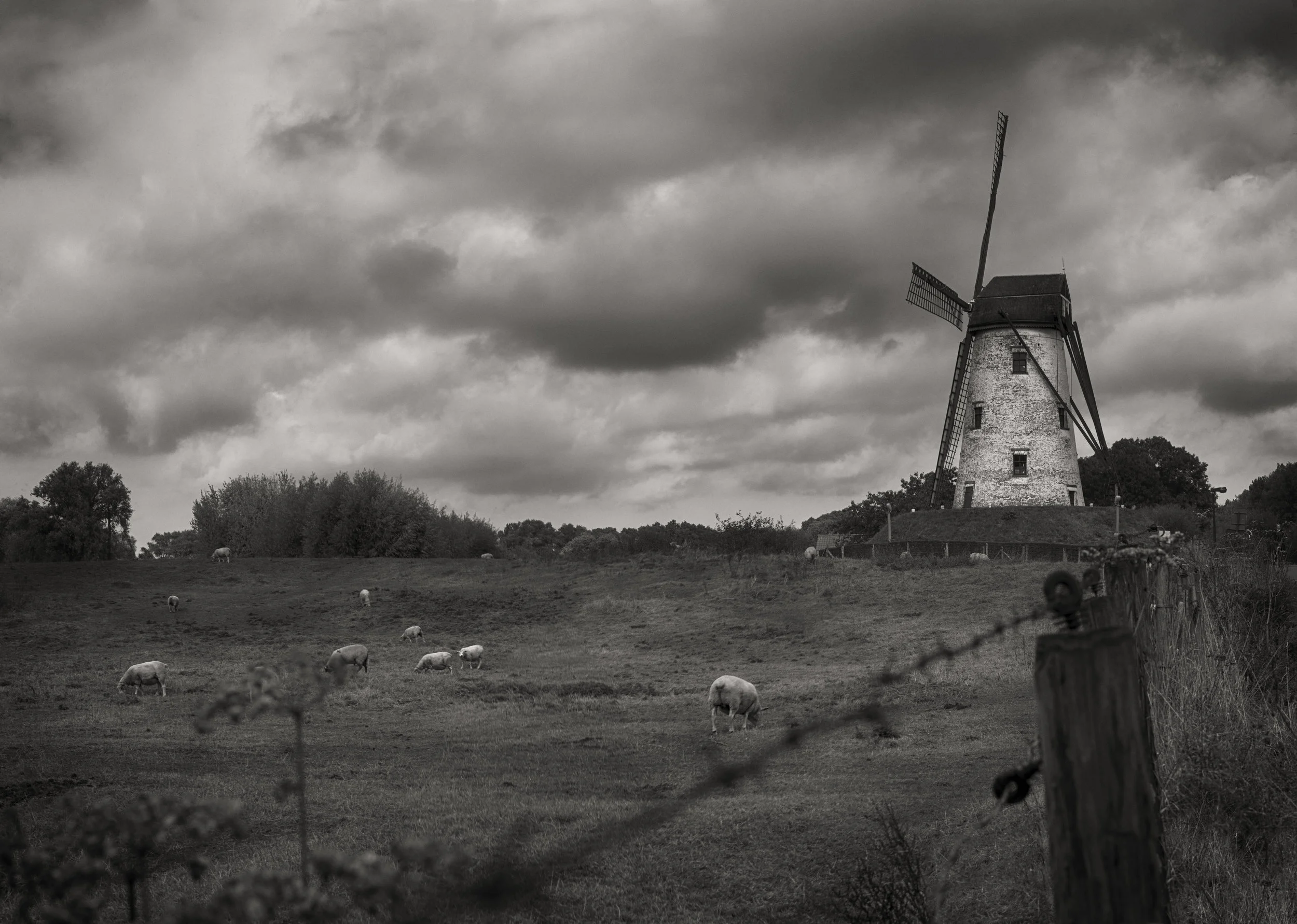 Windmill5BW.jpg