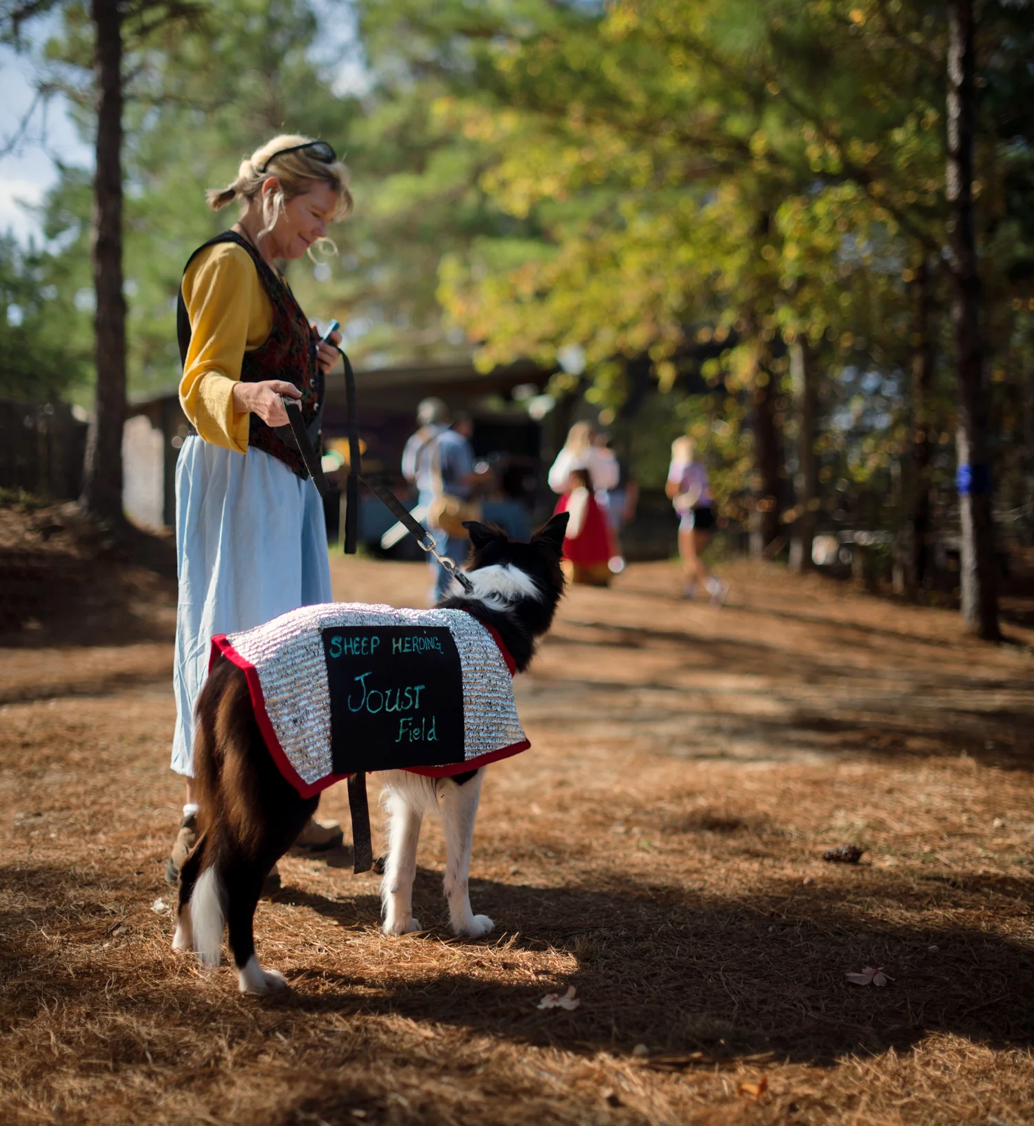 workingdog.jpg