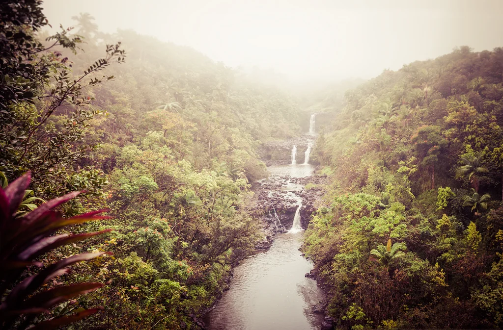 hawaii-10.jpg