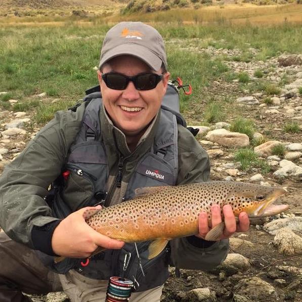 A nice chunky Brown