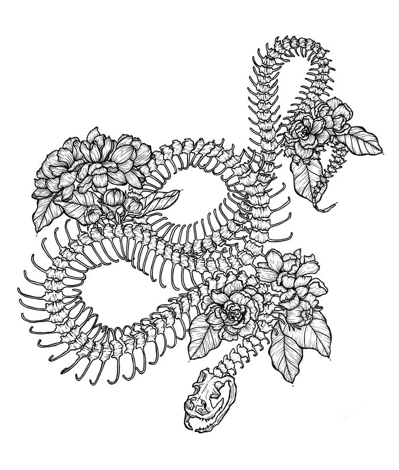 snake spine.jpg