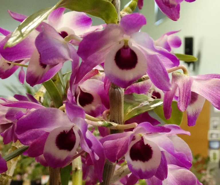 2015-10-10 08.24.59.jpg