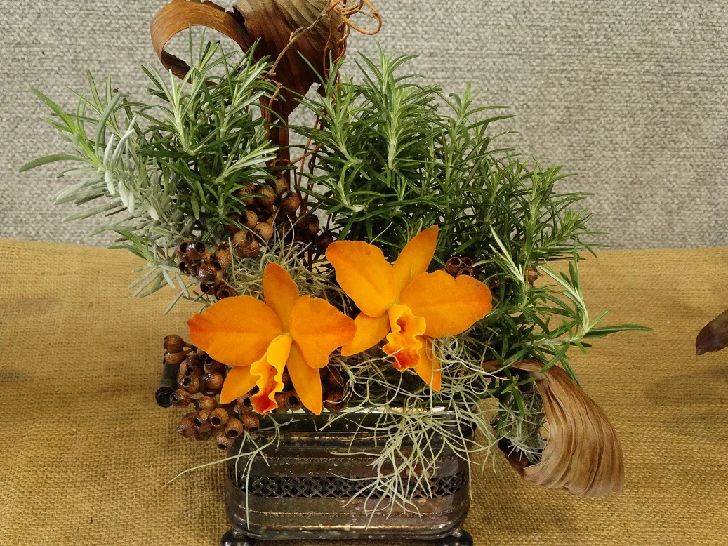 2015-10-11 13.35.03 - Copy.jpg