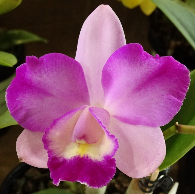 2015-10-11 13.42.21.jpg