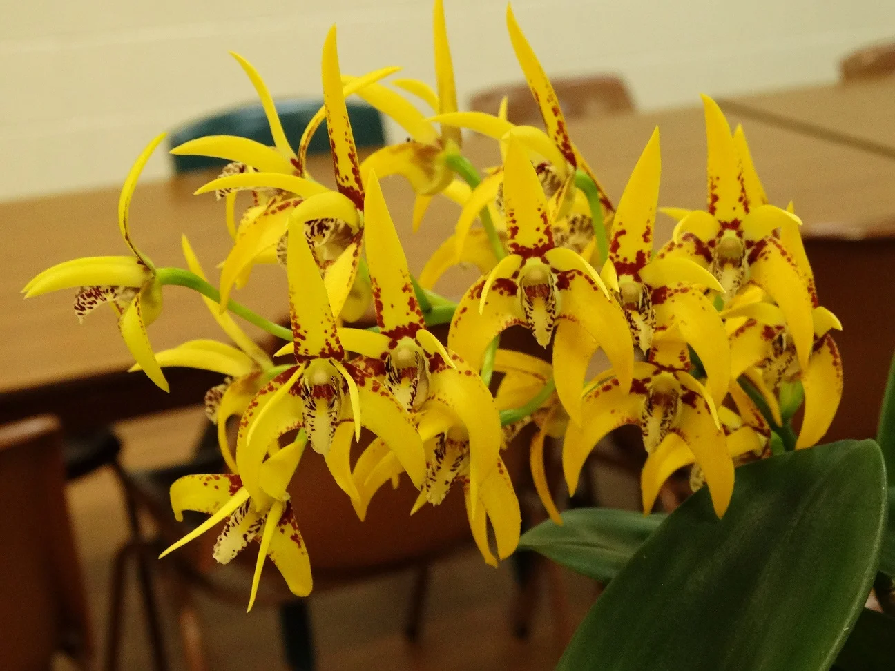 2015-09-01 20.18.14.jpg