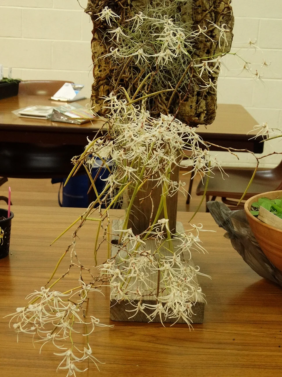 2015-09-01 20.17.20.jpg