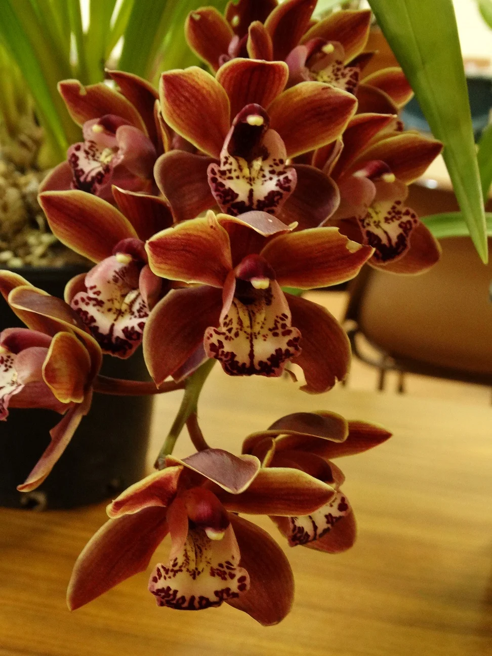 2015-09-01 20.21.16.jpg