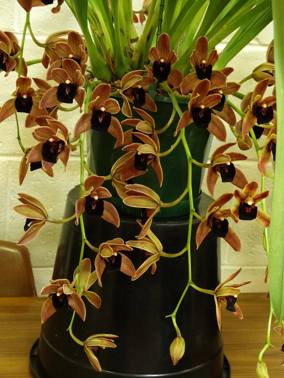 2015-10-06 19.16.03.jpg