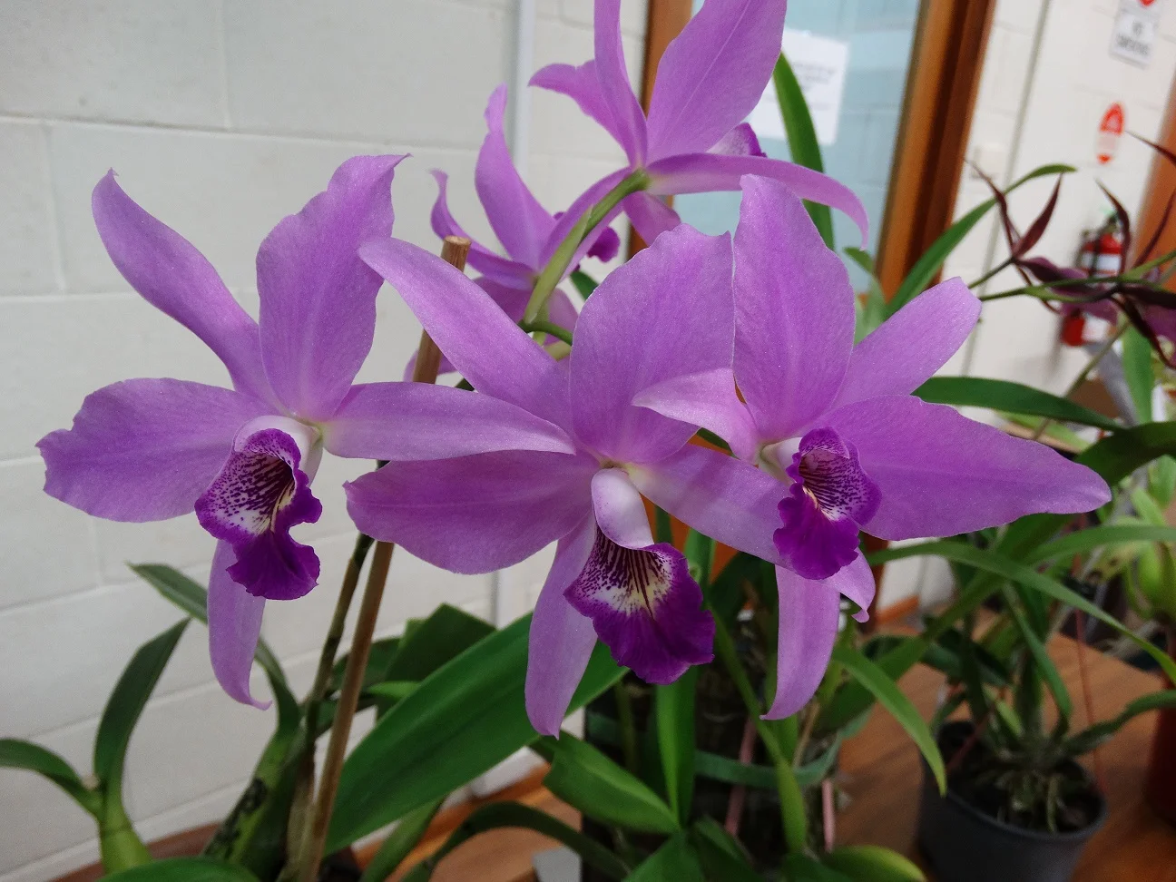 2015-05-05 20.32.47.jpg