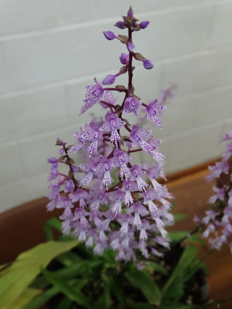 2015-06-02 20.18.57.jpg