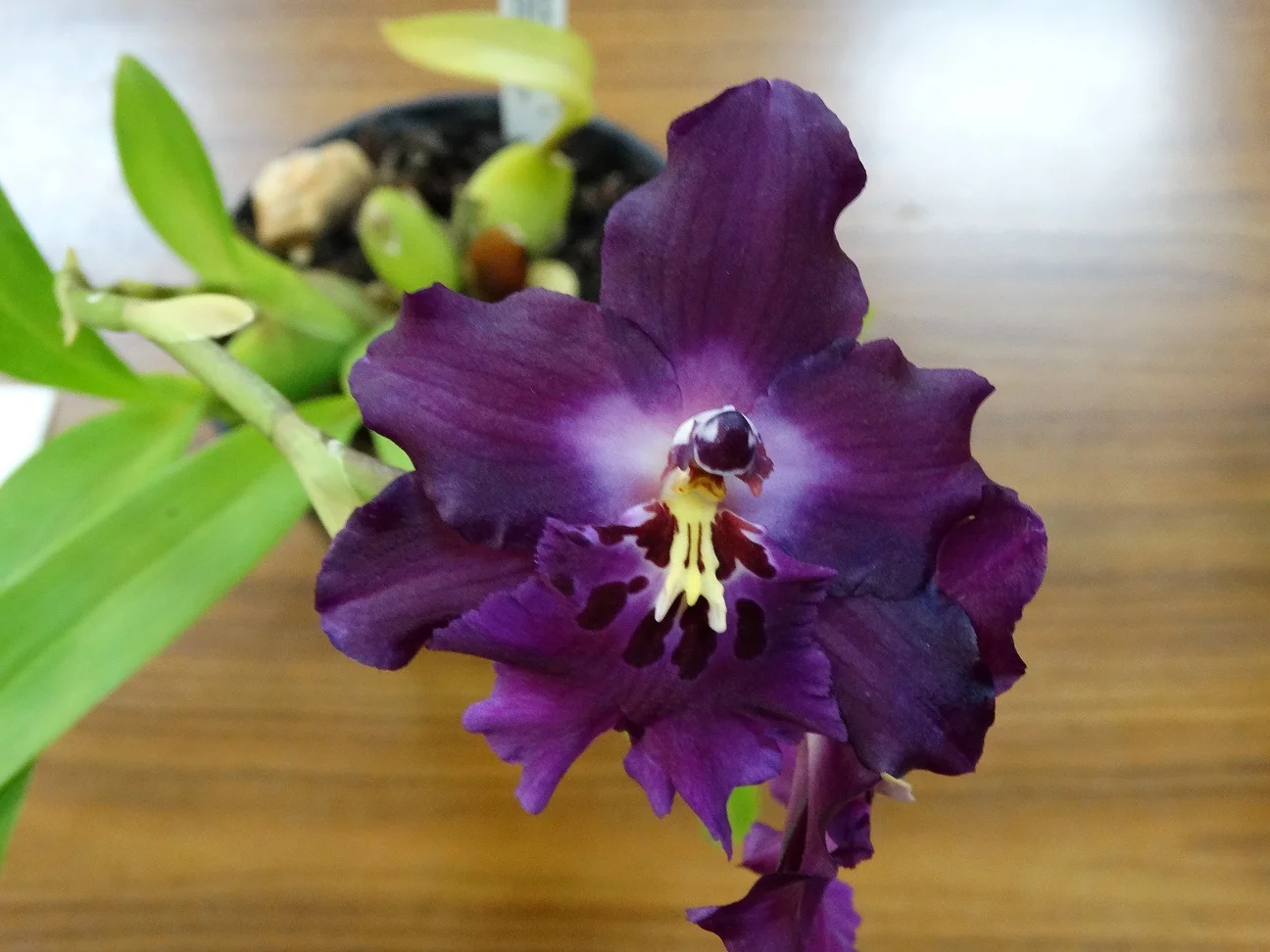 2015-06-02 20.28.25.jpg