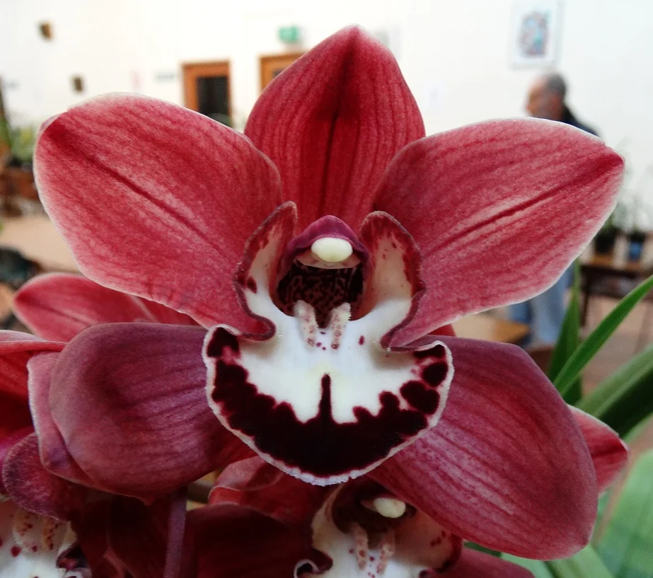 2015-08-04 20.32.22.jpg