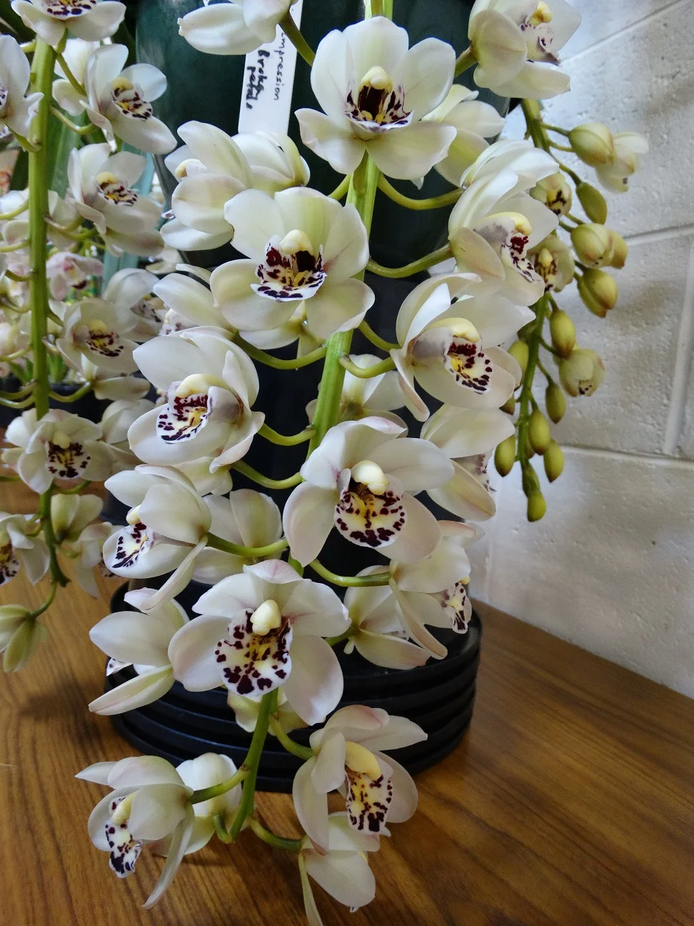 2015-08-04 20.34.45.jpg