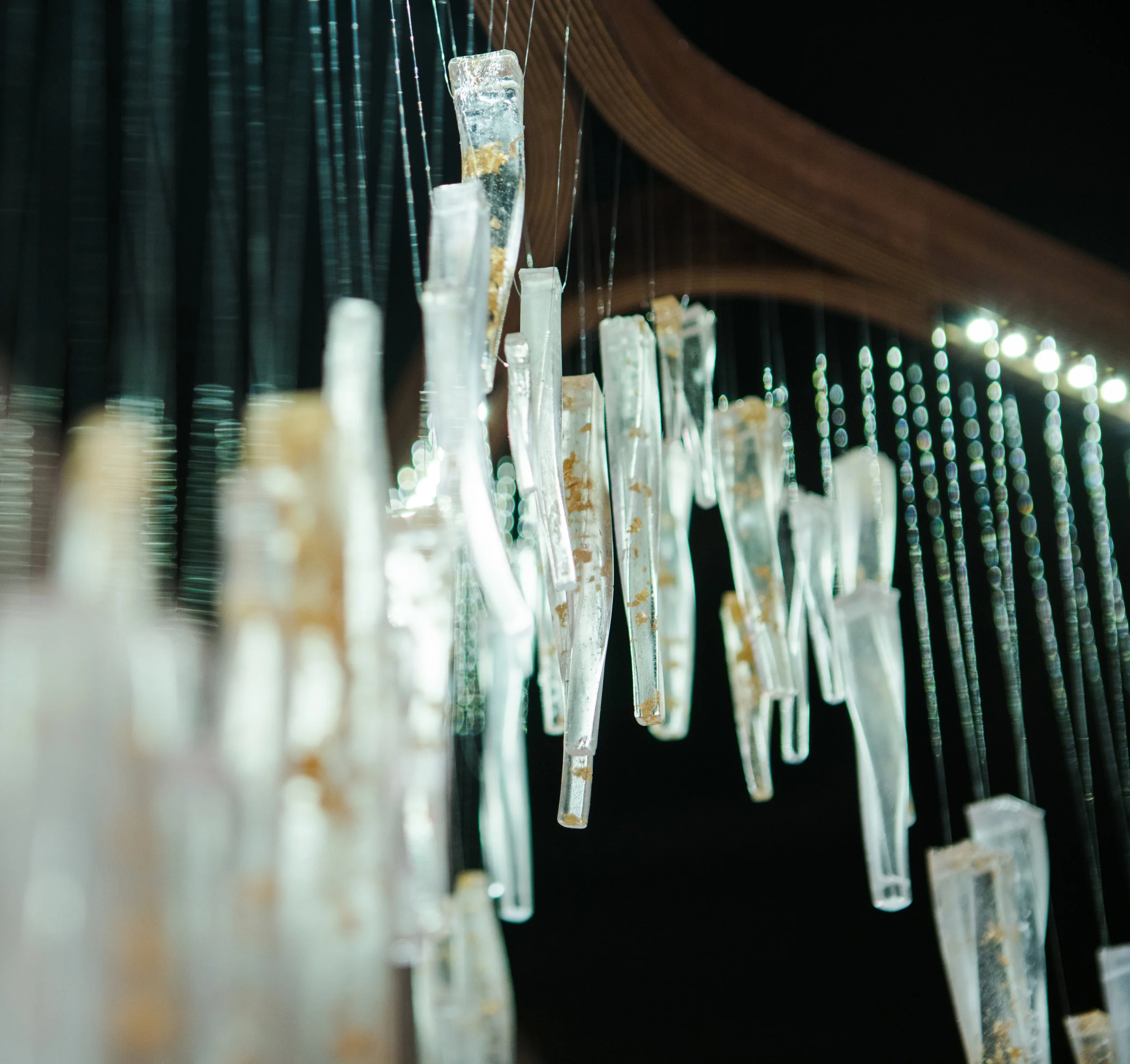 Edition of Night Bird