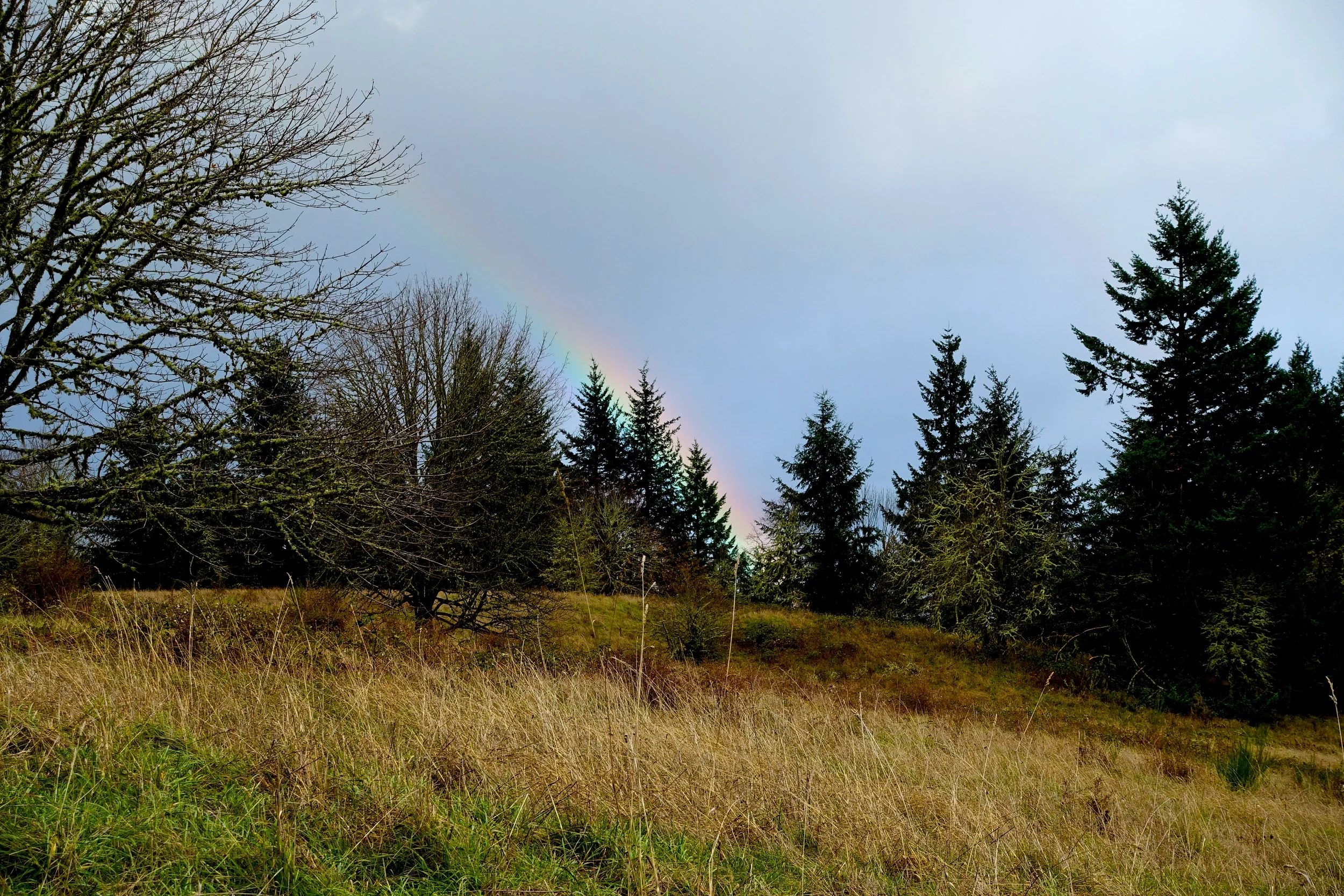 DSC01664.JPG
