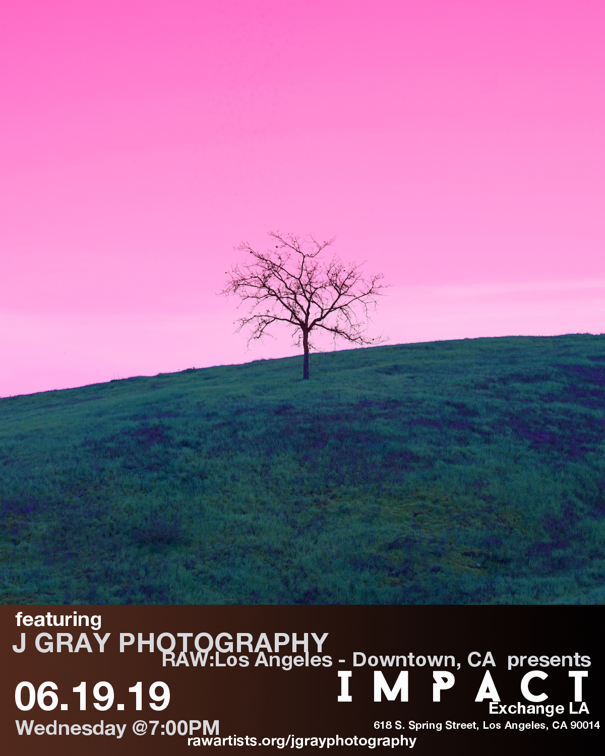 1557850965.losangeles_impact_standard_2019_US_jgrayphotography.jpg