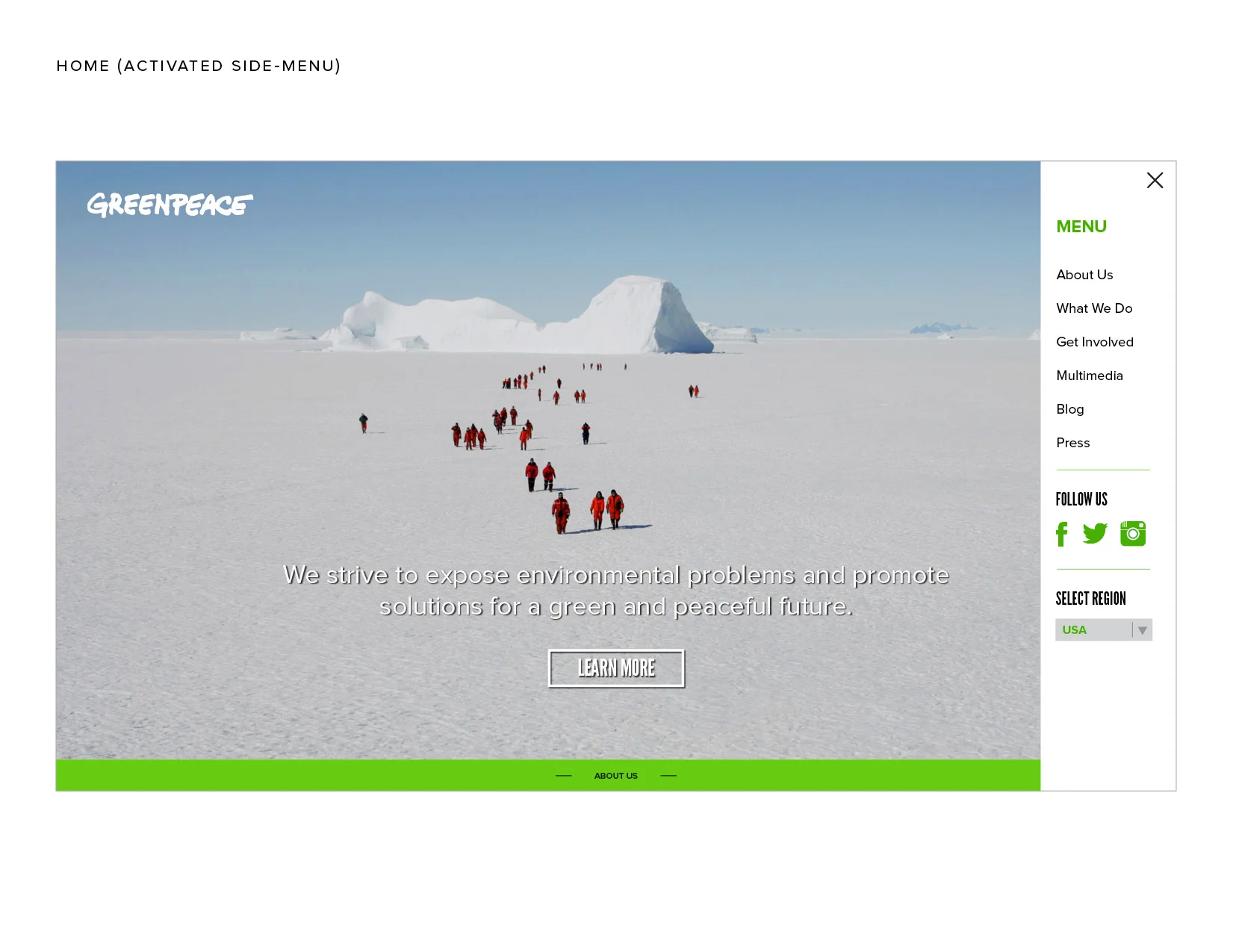 greenpeace5.jpg