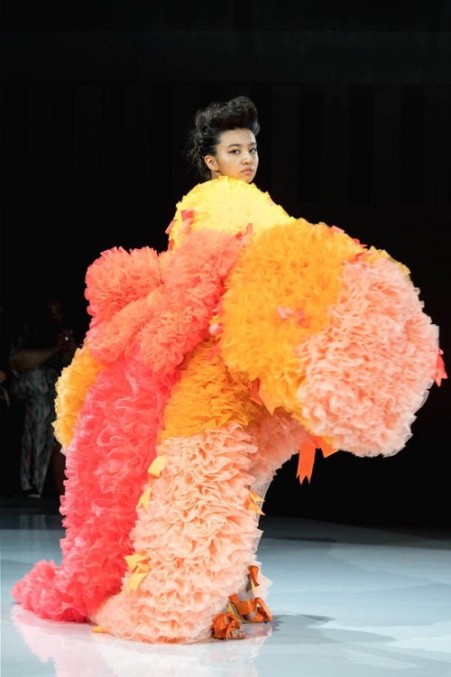 Collection - TOMO KOIZUMI