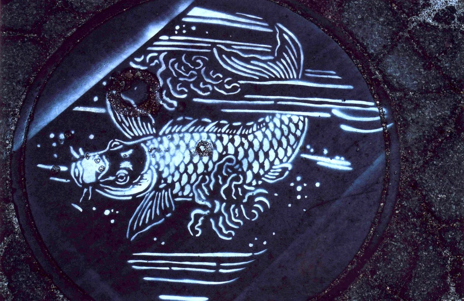 11- Carp in White.jpg