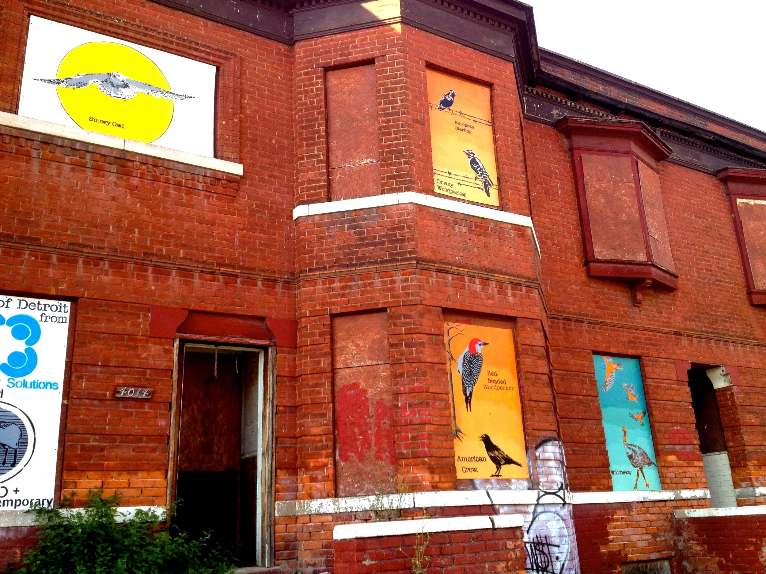Birds of Detroit Installation