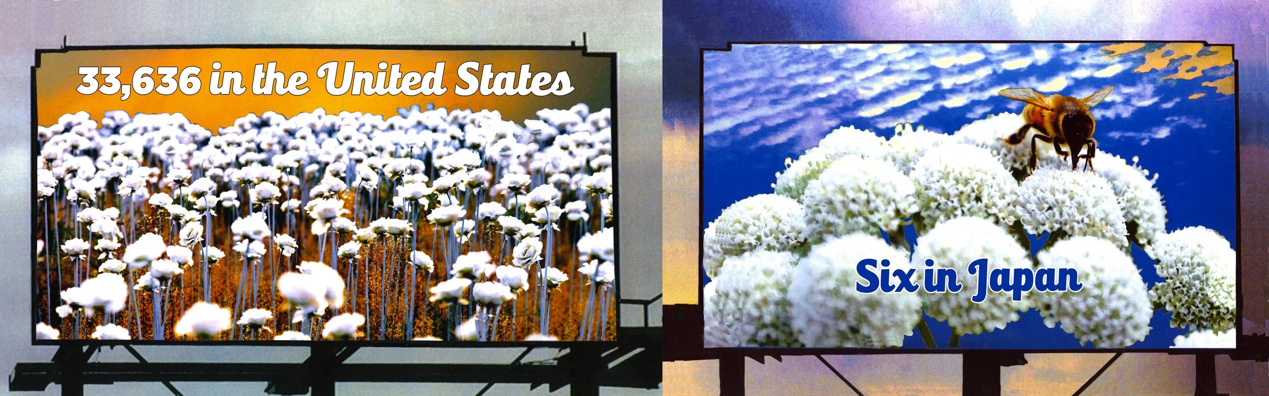 Flowers_both text low res.jpg