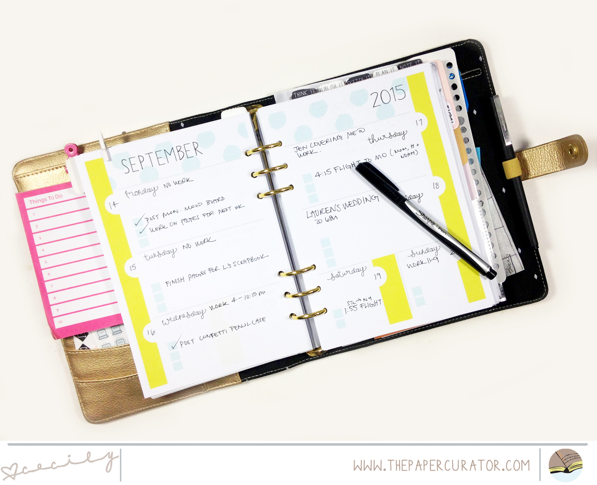 FREEBIE PLANNER PAGE PRINTABLES BY THE PAPER CURATOR