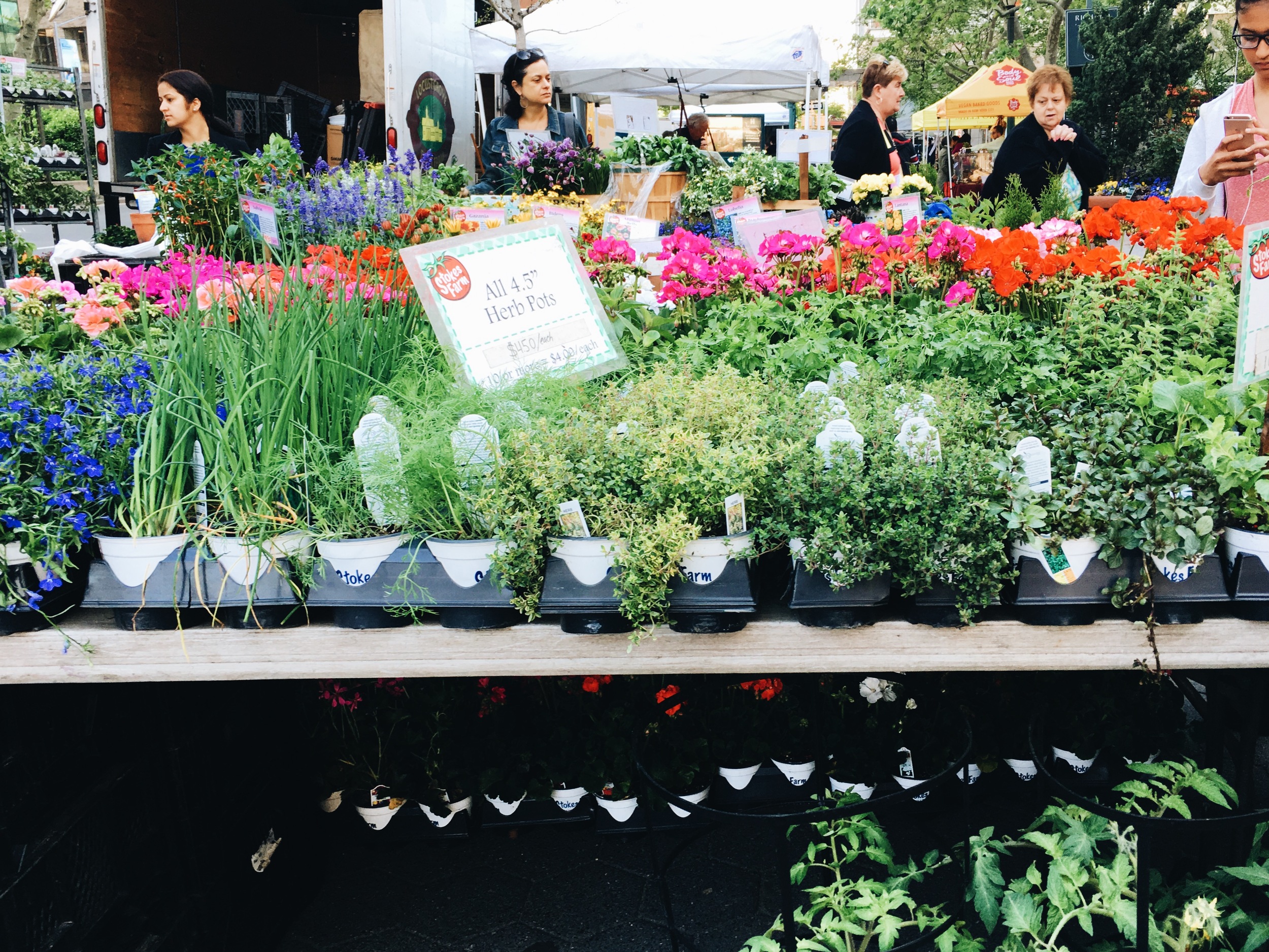 Every Thursday this spring there's been a little pop up farmer's market with plants and cider etc and it just makes me very happy - plus it's where I bought my very first flower pot