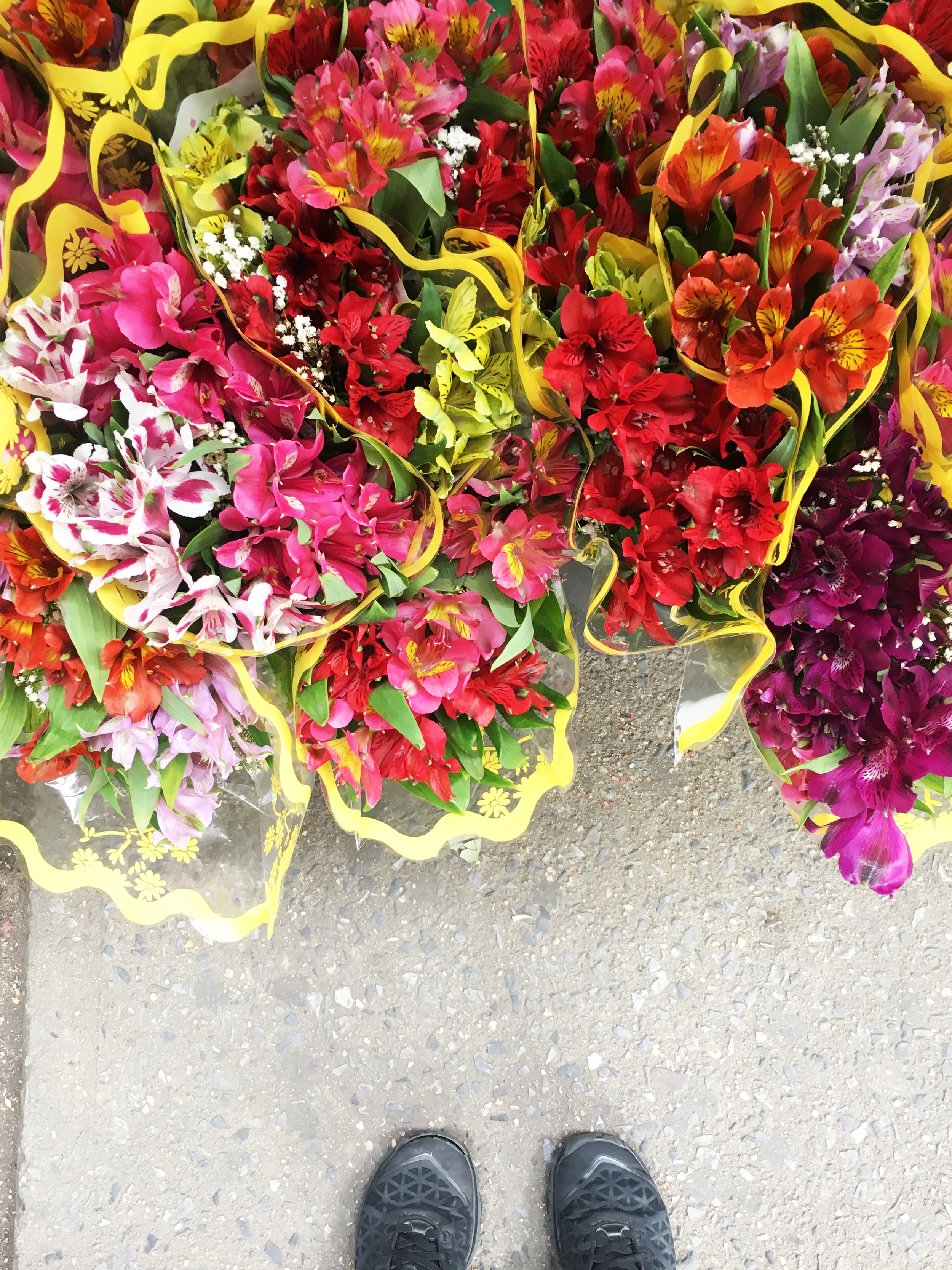 Yay - passing beautiful flowers always lifts my spirits
