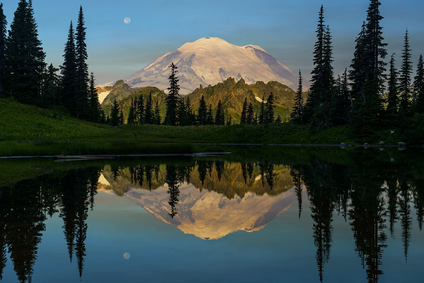 _DSC2547c3l.jpg