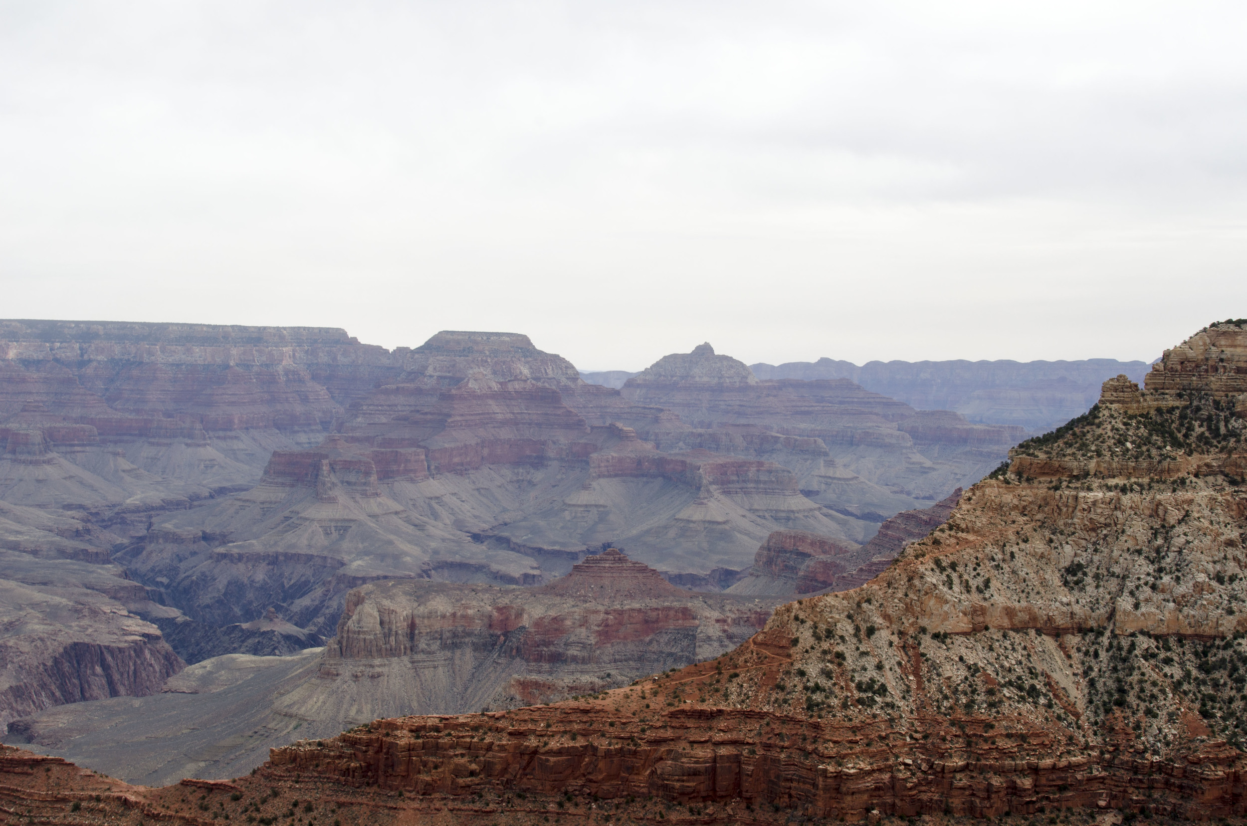 _DSC4119 copy.jpg
