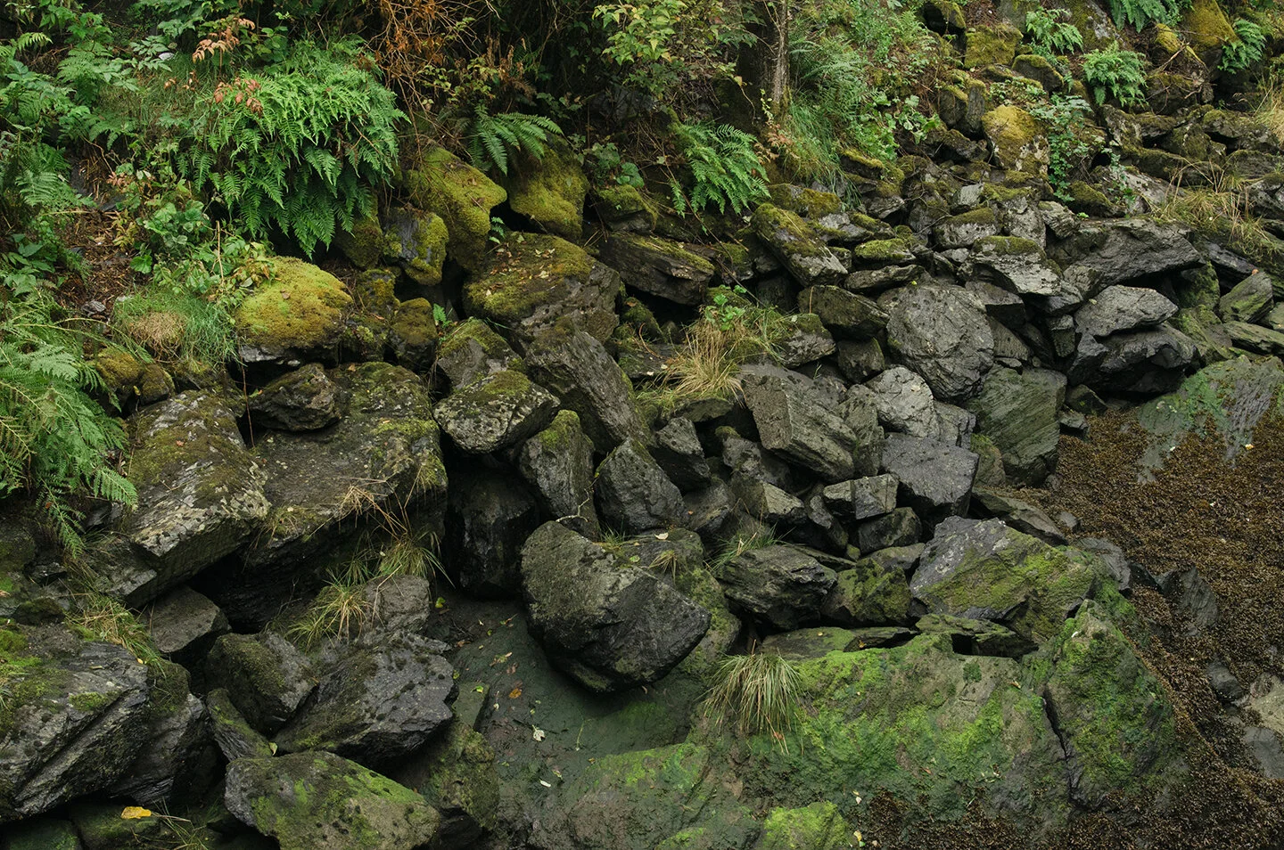 _DSC7643.jpg