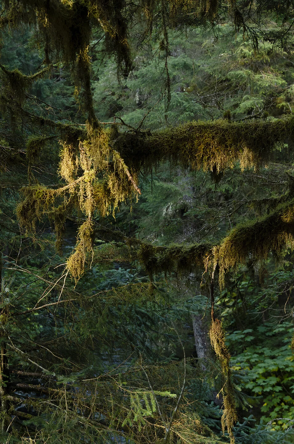 _DSC7933.jpg