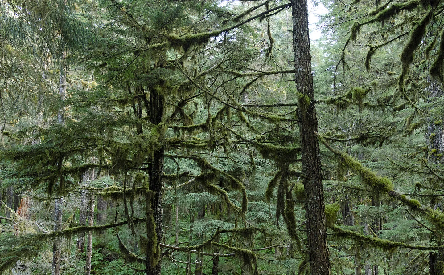 _DSC7937.jpg