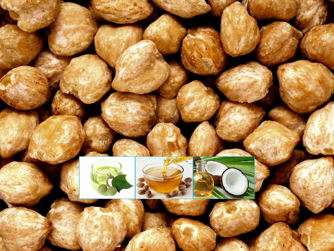 KUKUI with STUFF Horizontal smaller.jpg