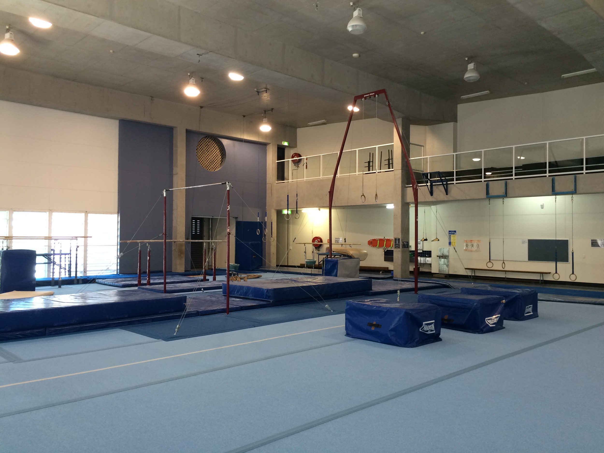 High bar and Rings canopy