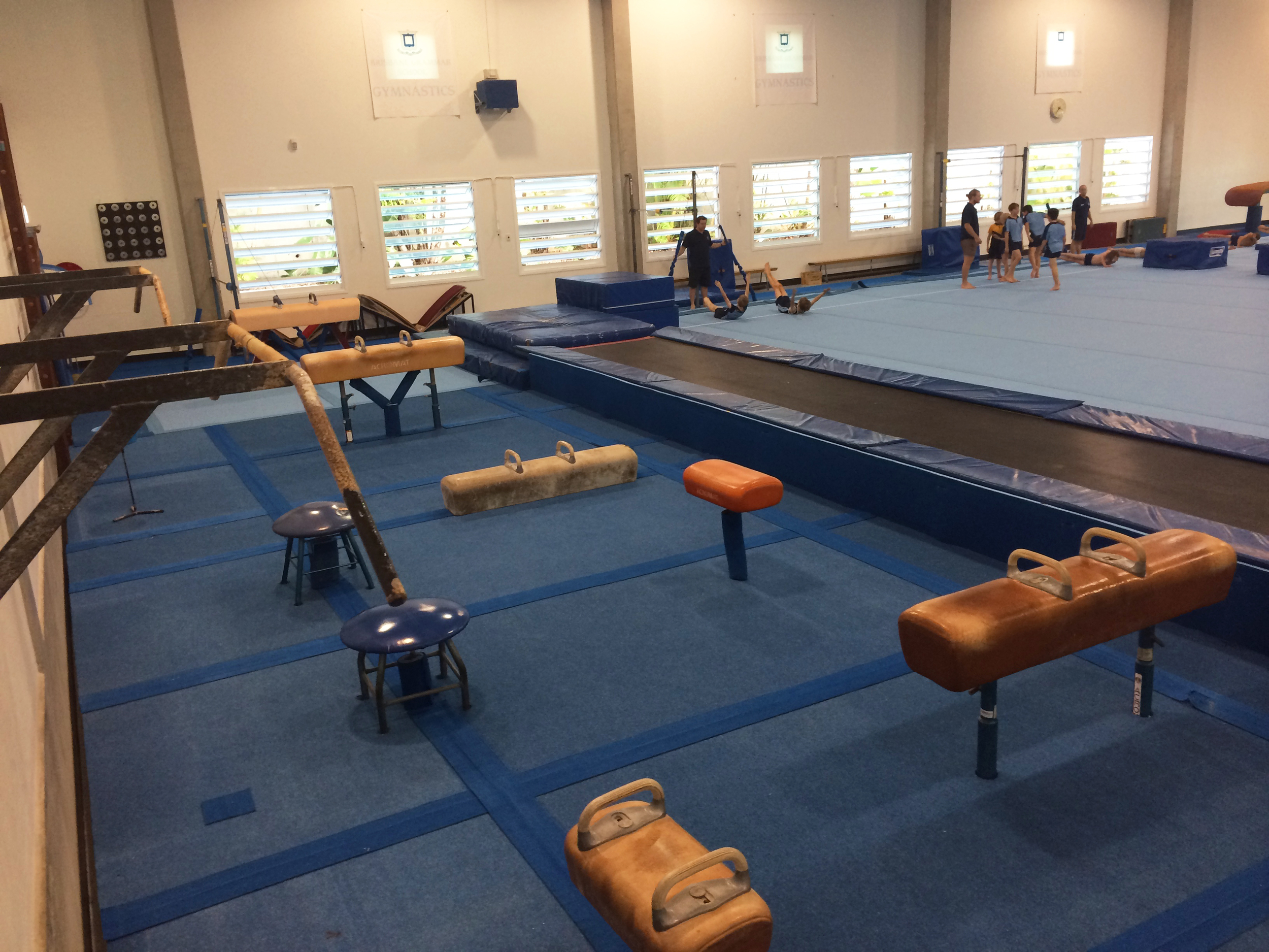 Pommel horse and tumble track