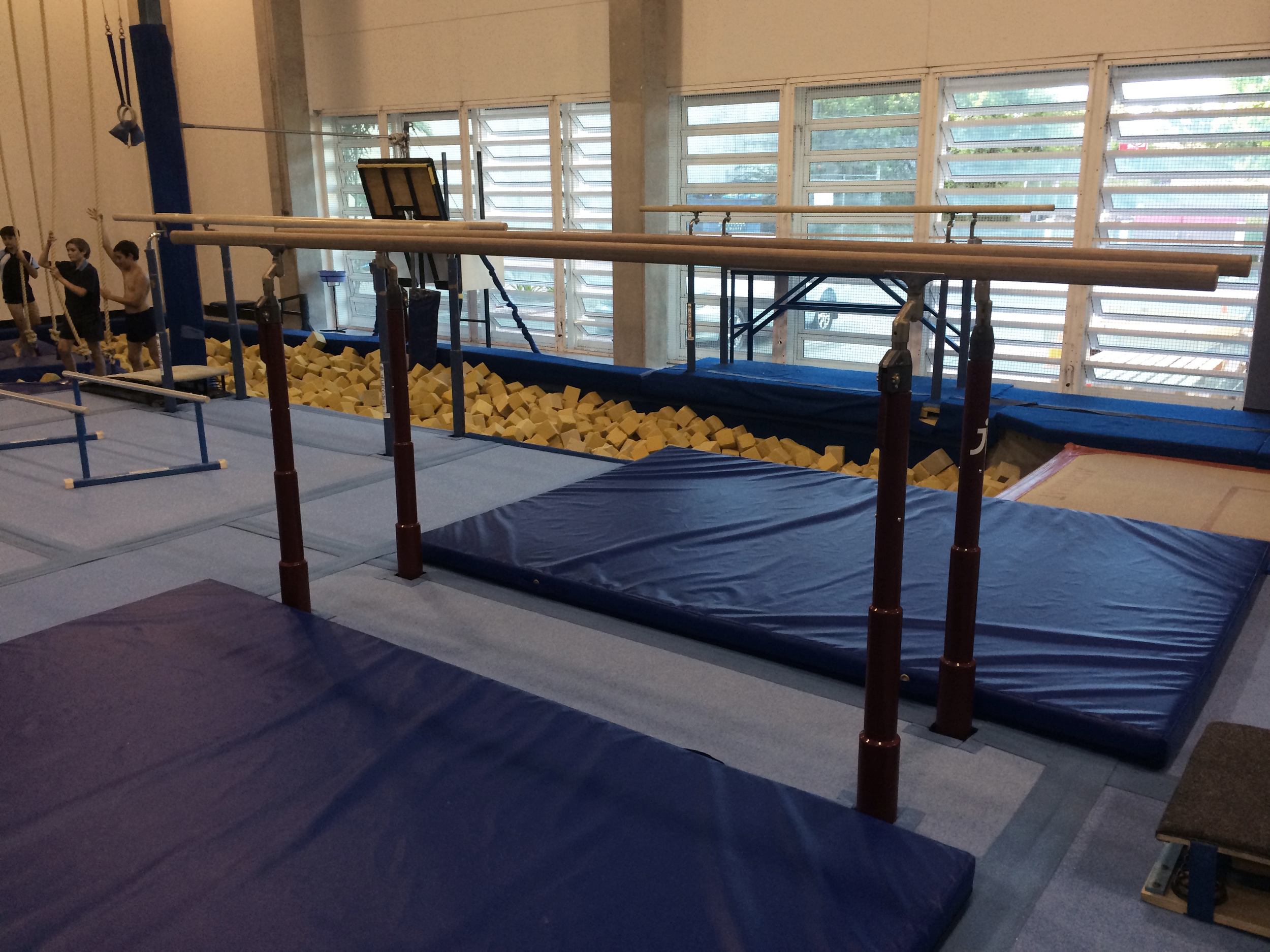 Parallel bars and pit